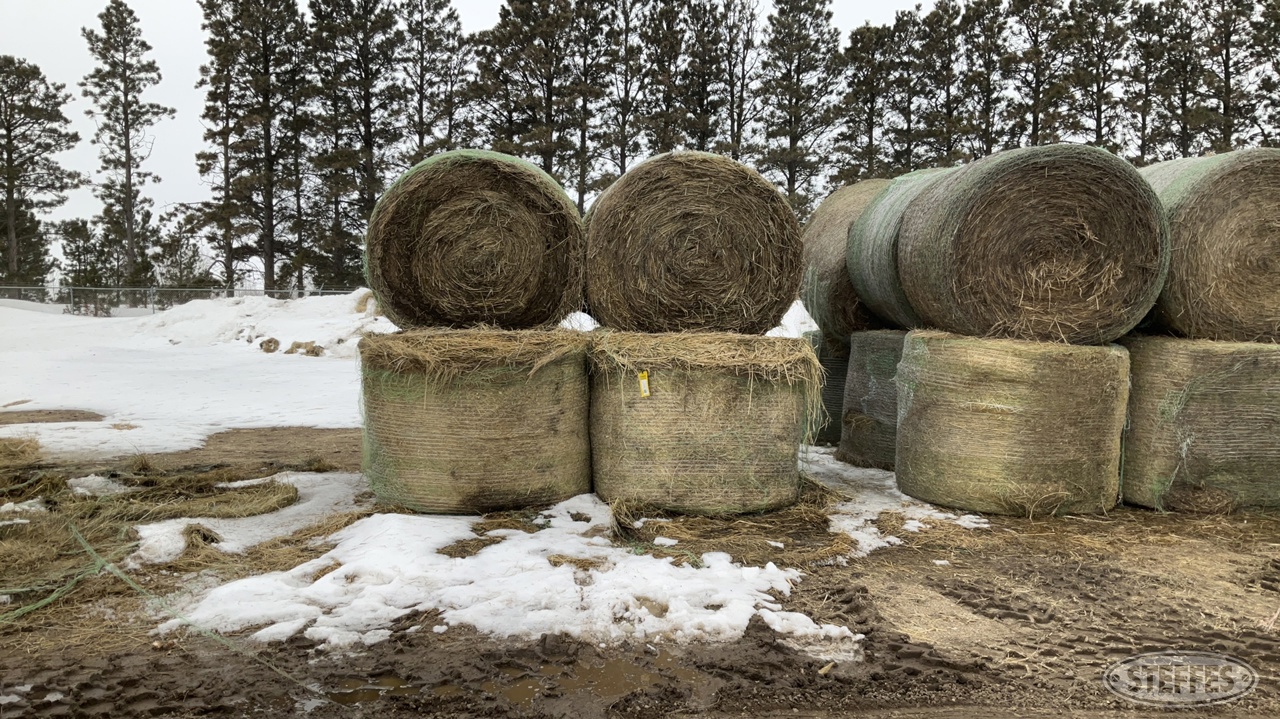 (12 Bales) 4x5 rounds